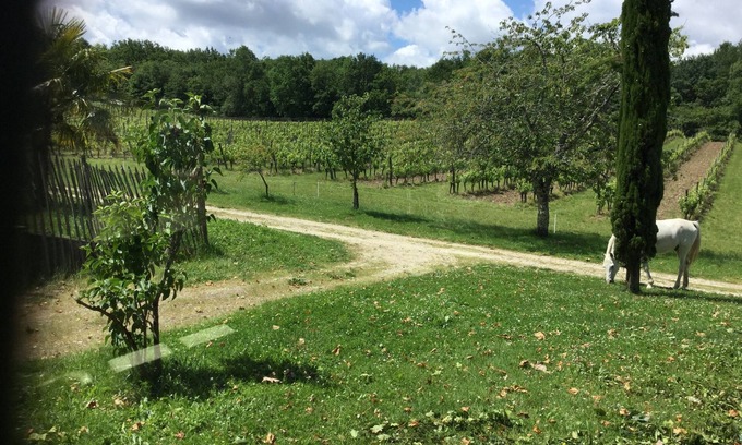 Sigoules Maison | Gîte privé à louer dans un domaine viticole