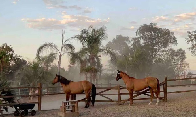 Bonsall Maison | Private Petting Zoo - Glamping Ranch Vibes