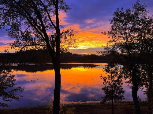 Shady Cove Maison | Private Ranch Log Cabin Lakeside Escape