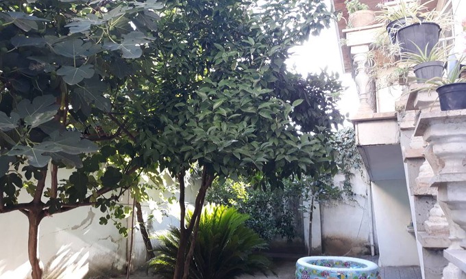Rasht Station Balnéaire | Chambre privée ∙ 1 personne