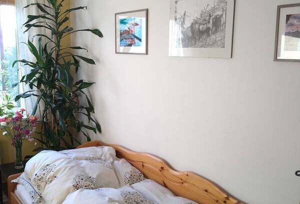 Trondheim Station Balnéaire | Chambre privée ∙ 1 personne