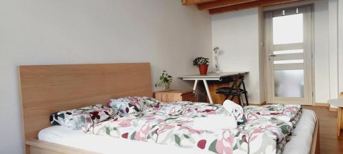 Bubenec Appartement | Private room 30 min nice Green walk old center A