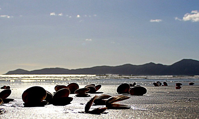 Raumati South Appartement | Studio confortable privé-1 minute à pied de la plage