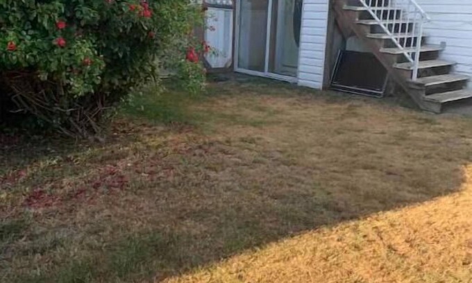 Surrey Newton Appartement | Private suite, separate entrance, central location