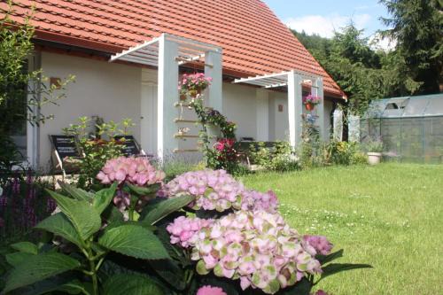 Ladek-Zdroj Appartement | Przystanek Dzika Dolina