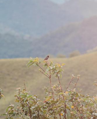 Anserma Autre | Puertas de San Pedro Hospedaje Campestre