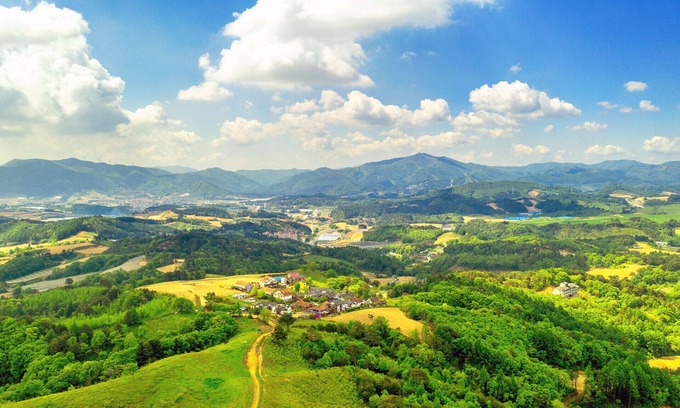 Daegwallyeong Hôtel | Pungcha & Herb Pension