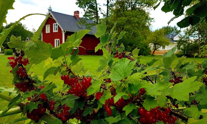 Klavrestrom Maison | Décélération pure dans la ville du livre d'images de Klavreström