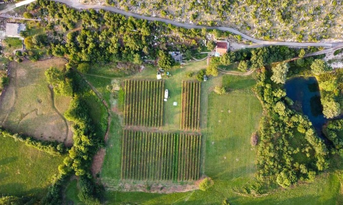 Pricelje Location De VR | Purple Eye Estate - Camp & Winery (Jokaš)