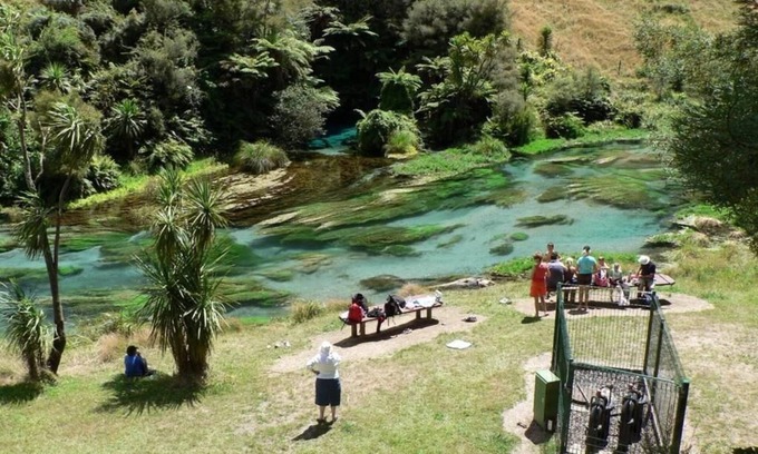 Putaruru Hôtel | Putaruru Arms Motor Inn