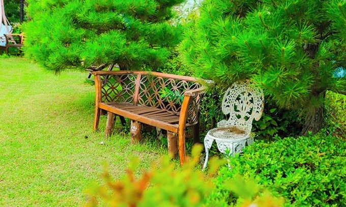 Daegwallyeong Maison | Pyeongchang Beautiful Pension