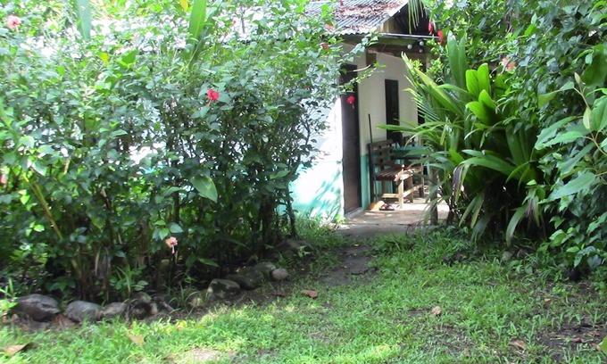 Tres Rios Cabine | Petite cabine pittoresque située à proximité de tous les services, nichée dans un environnement de jungle