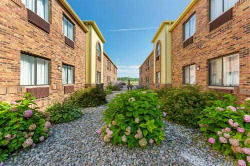 Bedford Hôtel | Quality Inn Alexis Rd