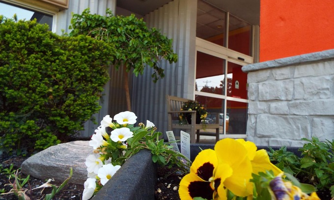 Owen Sound Hôtel | Quality Inn