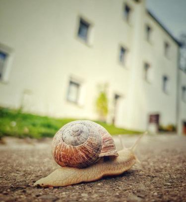 Berggieshubel Appartement | Quartier - alte Steigerbaude