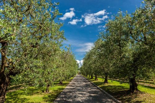 Bardolino Maison | Quercia Belvedere Relais