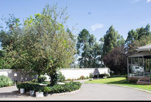 Kokstad Maison | Quiet Corner Guest House Kokstad