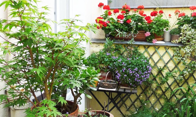 Plaisance Appartement | Studio au calme sur cour Paris 14e près de Montparnasse, 25 m2