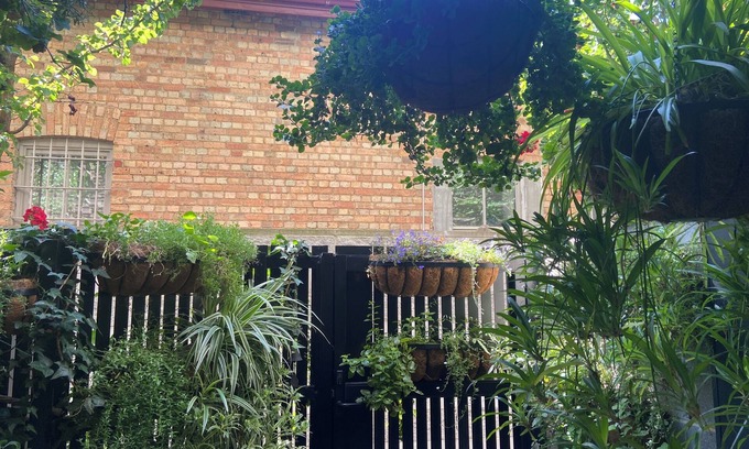 Coburg Appartement | Quiet Urban Oasis. Central to both City and Parkland. Easy Ground floor access