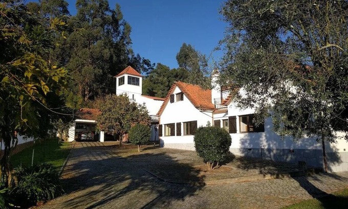 Santa Comba Dao Villa | Quiet villa with large garden and private pool, central Portugal