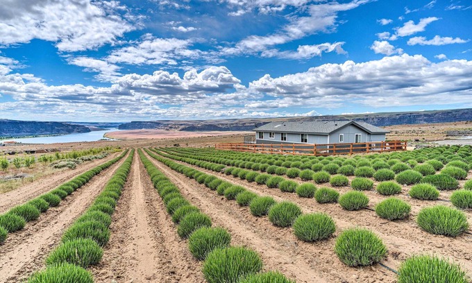 Quincy Maison | Quincy Home on Lavender Farm w/ River Views!