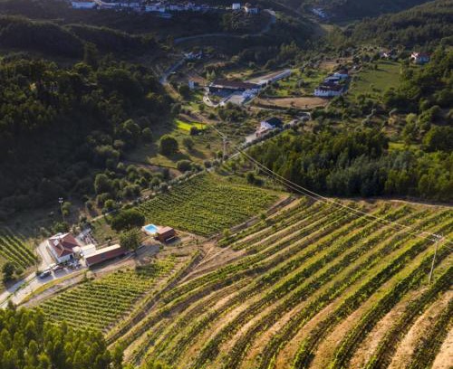 Arganil Maison | Quinta da Aldeia Nova