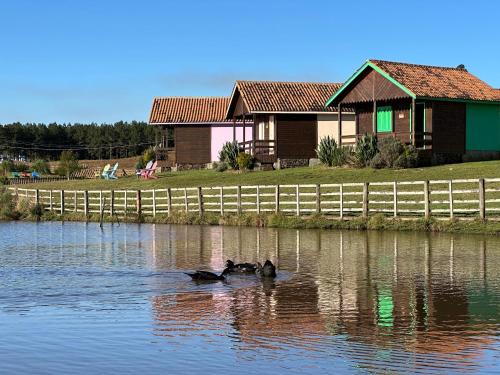 Cambara do Sul Maison | Quinta da Soliran Chalés Rural