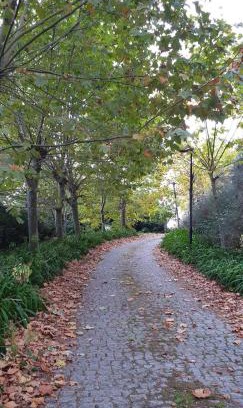 Baiao Appartement | Quinta da Touça