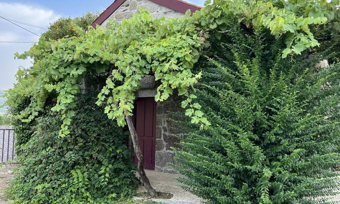 Amarante Villa | Quinta de Locaia - Magnifica Casa Rural Junto a Amarante