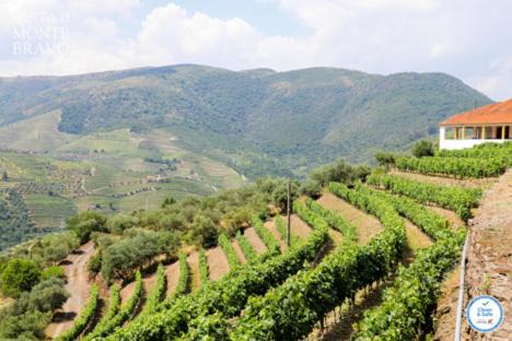 Bomfim Maison | Quinta do Monte Bravo - DOURO - Quarto Duplo