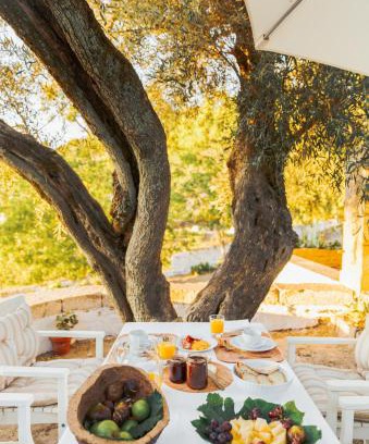 Valdigem Maison | Quinta do Valdalágea