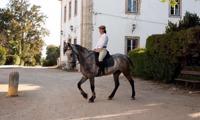 Golega Maison | Quinta dos Álamos Agroturismo