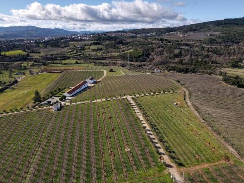 Covilha Maison | Quinta Lourena - Casa do Caseiro