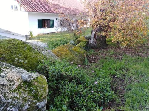 Castelo Novo Maison | Quinta Souto da Ordem - House