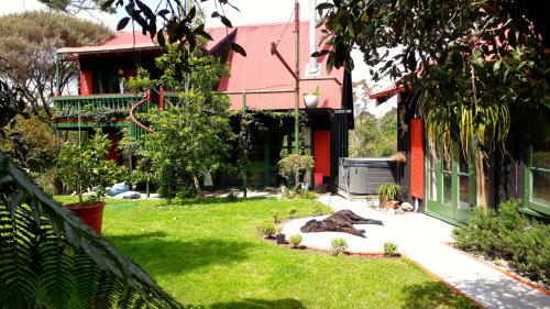 Maketu Cabine | Quirky Woods - Glamping Cabins at Maketu