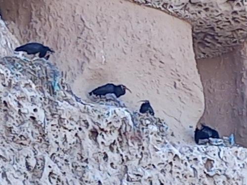 Sidi Ouassay Appartement | Résidence Fanti