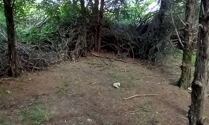 Elkland Location De VR | Rabbit's Den @B Berry Farms