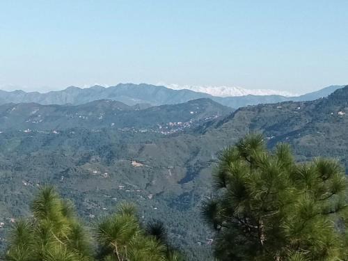 Shoghi Hôtel | Raikot Resort