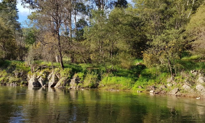 Porepunkah Maison | Rail Trail River House