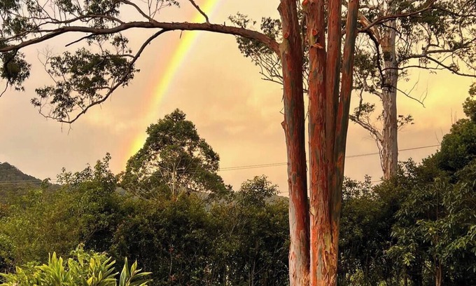 Dairyville Appartement | Rainbow Farm Studio - Sleep to the sounds of the Orara River 15 mins from Coffs.