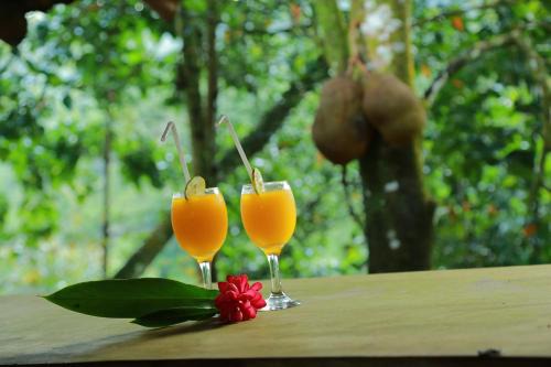 Kalawana Hôtel | Rainforest Edge