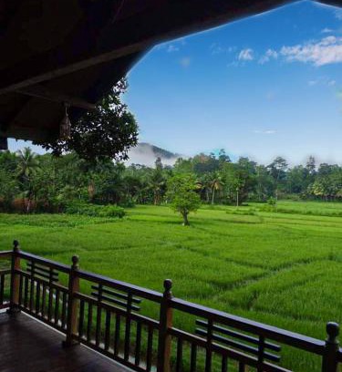 Kotapola Hôtel | Rainforest Nest