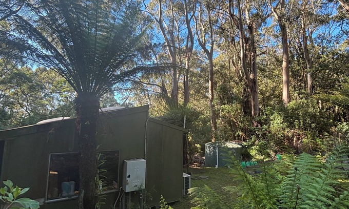 Skenes Creek North Cottage | Rainforest retreat 7 minutes from the beach and next to CapeOtway National Park