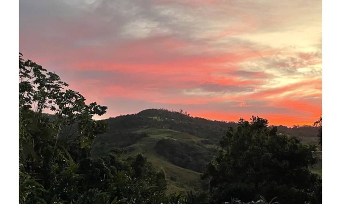 Guzman Arriba Appartement | Rainforest Retreat between mountains and sea