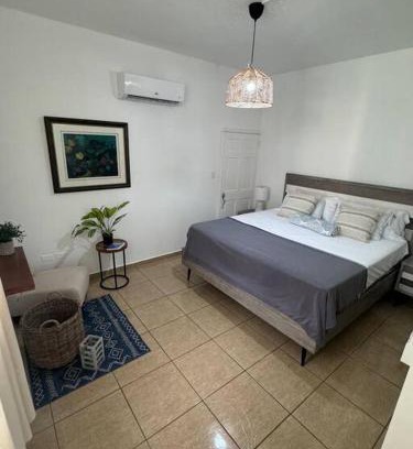 Maleza Baja Appartement | Ramey Loft 3