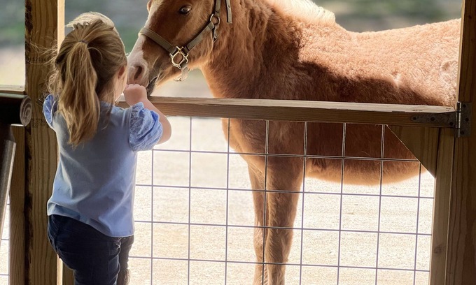 Centerville Cabine | Ranch Lodge - A Texas Ranch Getaway