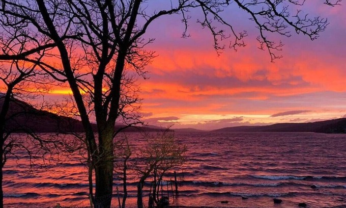 Kinloch Rannoch Copropriété | Rannoch Highland Club, Pine Martin Lodge 5