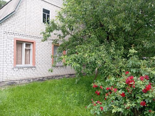 Dobrovelychkivka Maison | Ratusha Hall Zazymje