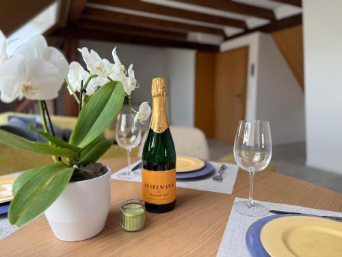 Ruppertsberg Appartement | Rebenblick Dachsuite mit kulinarischen Extras auf Wunsch