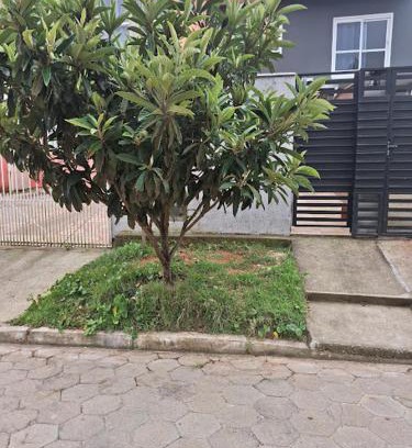 Rio Vermelho Norte Maison | Recanto das gérberas